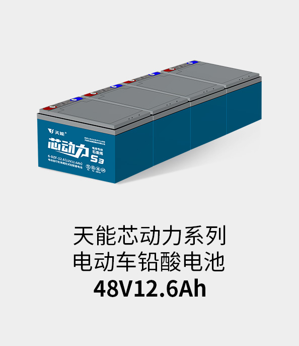 新宝GG电池48v12ah